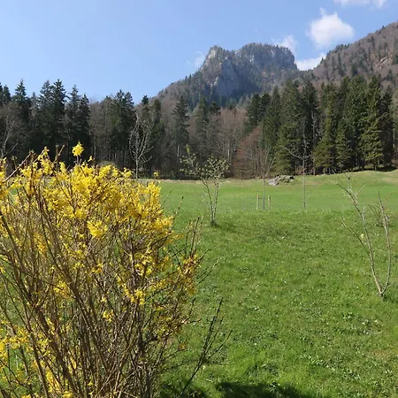 Beim Waicher & Zwischen Salzburg Und Chiemsee Ruhpolding